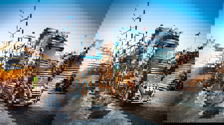 lastbil lastas med timmer