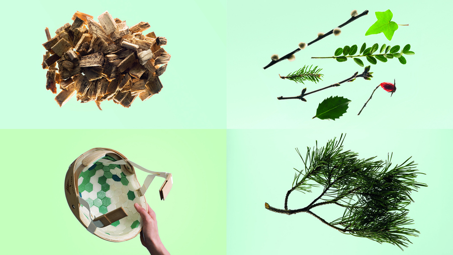 flis, blandade kvistar, trähjälm och tallkvist på grön bakgrund