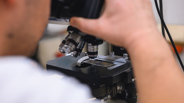 man tittar i ett mikroskop