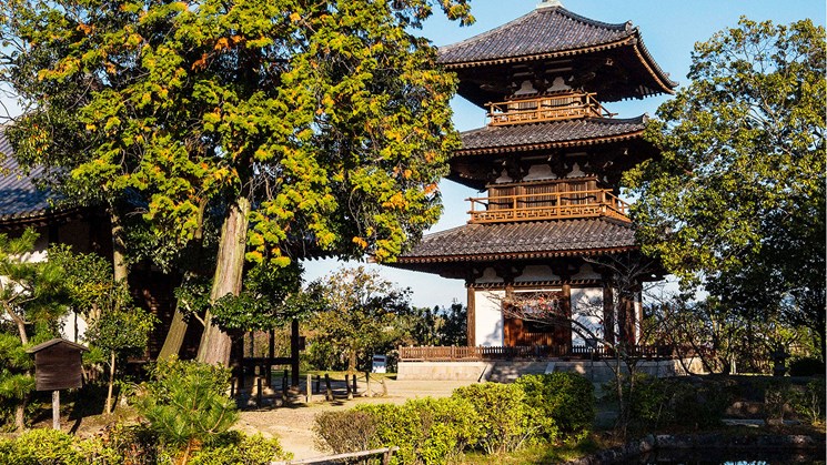 This Japanese temple is living proof that wood is an excellent building material in quake prone areas.